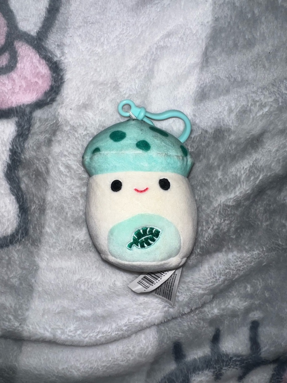 Mint Green Mushroom Plush Keychain Squishmallow
Add on for free to your bundle